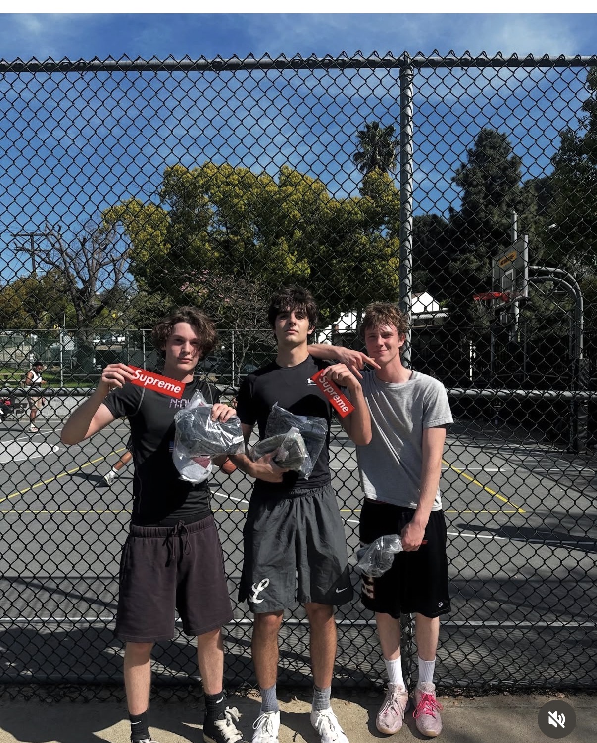 Basketball winners
